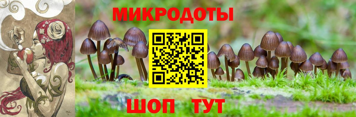 Галлюциногенные грибы Cubensis Нефтеюганск